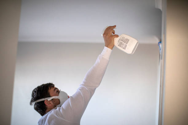 Best Attic Mold Removal  in West Menlo Park, CA