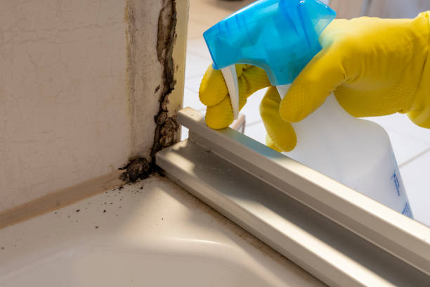 Best Home Mold Removal  in West Menlo Park, CA
