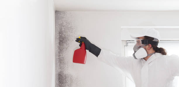 Crawl Space Mold Removal in West Menlo Park, CA