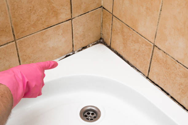 Best Affordable Mold Removal  in West Menlo Park, CA